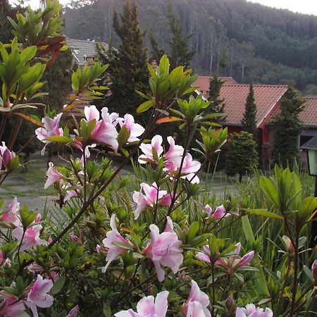 Pousada Flores Da Serra Монти-Верди Экстерьер фото